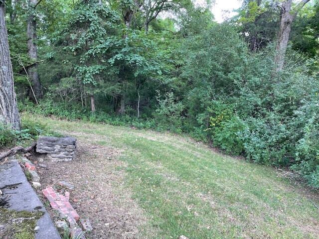 view of yard featuring a view of trees