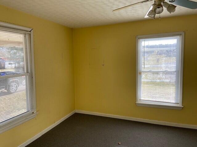 6578 Powersville Harrison Co Rd, Brooksville, KY 41004 - photo 5