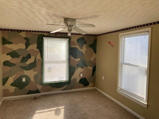 6578 Powersville Harrison Co Rd, Brooksville, KY 41004 - photo 6