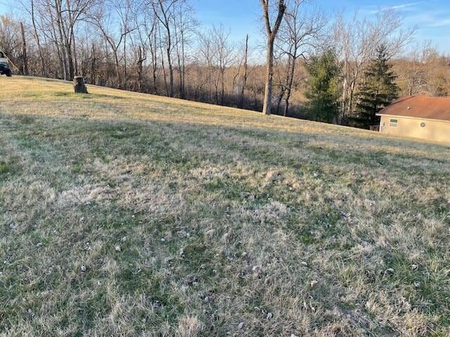 view of yard featuring a rural view