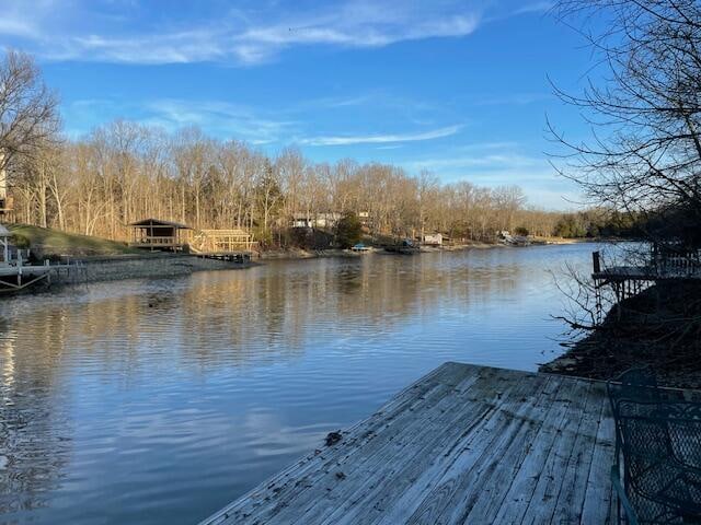 dock area with a water view