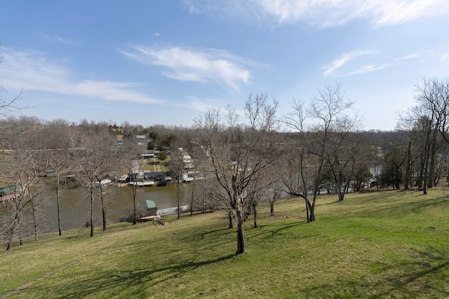 view of yard featuring a dock and a water view