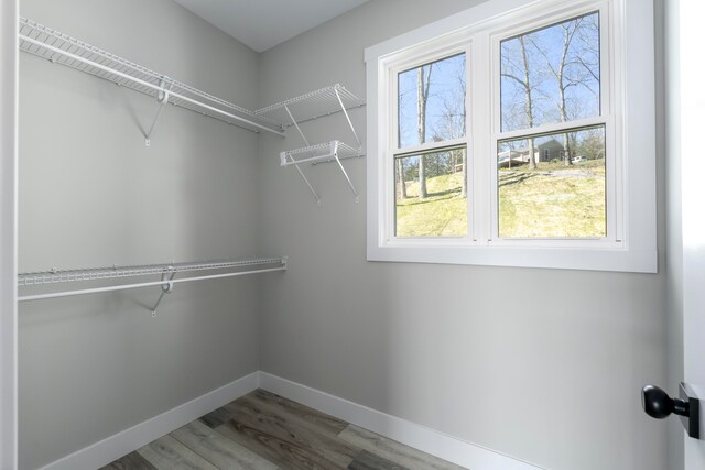 465 Cedar Hill Dr, Williamstown, KY 41097 - walk in closet with wood finished floors