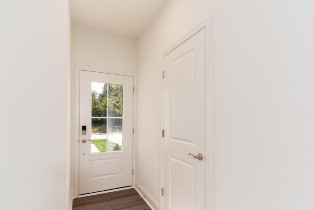 doorway to outside featuring dark wood-type flooring