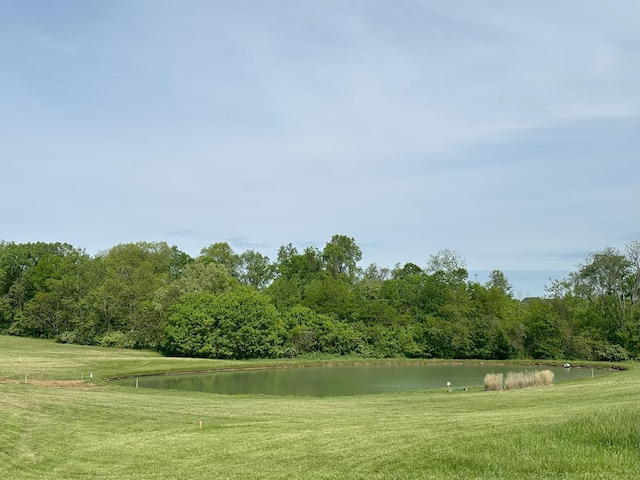 view of home's community featuring a lawn and a water view