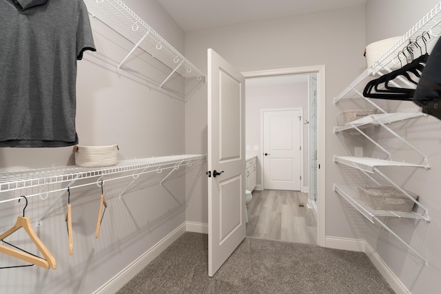 walk in closet with carpet