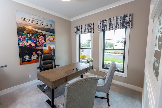 carpeted office with ornamental molding