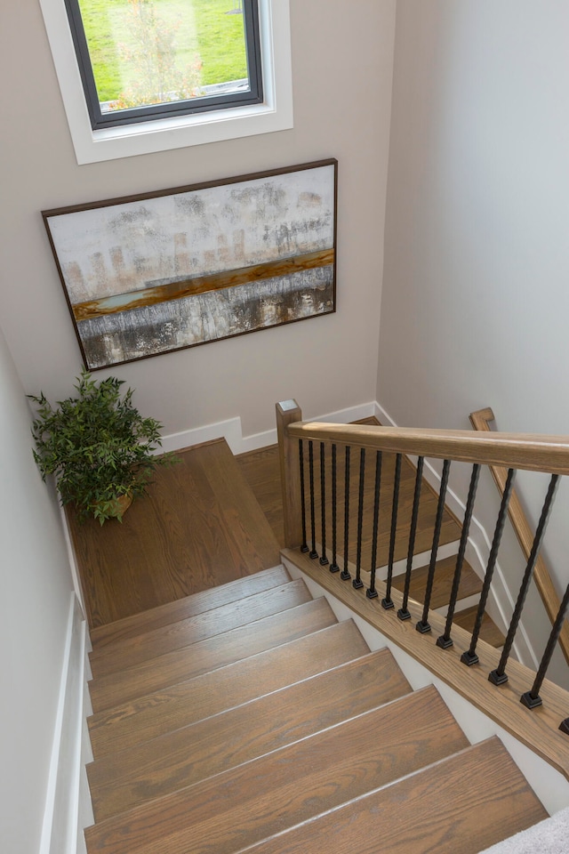 staircase with wood-type flooring