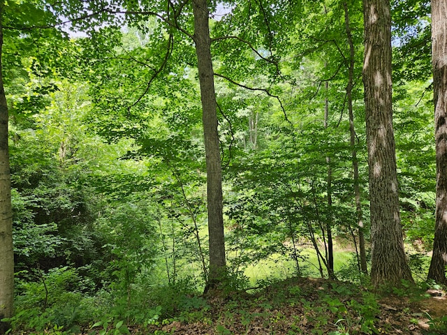 Listing photo 3 for 4492 Hathaway Rd Lot B, Lot B, Union KY 41091