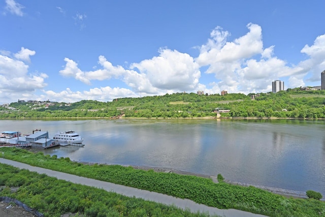 property view of water with a boat dock