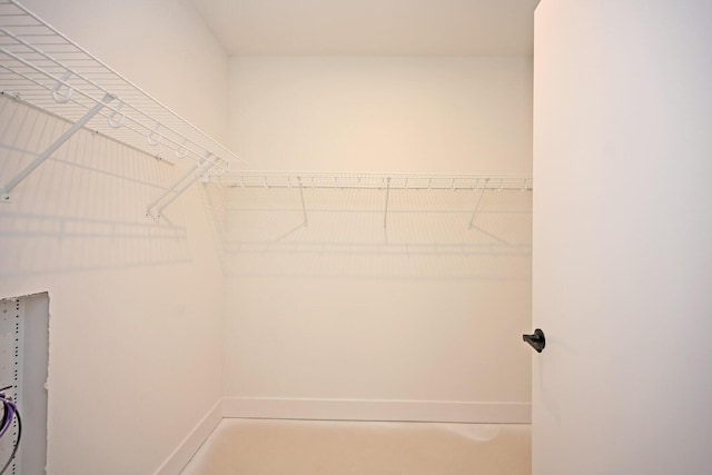 view of spacious closet