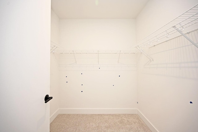 walk in closet with carpet