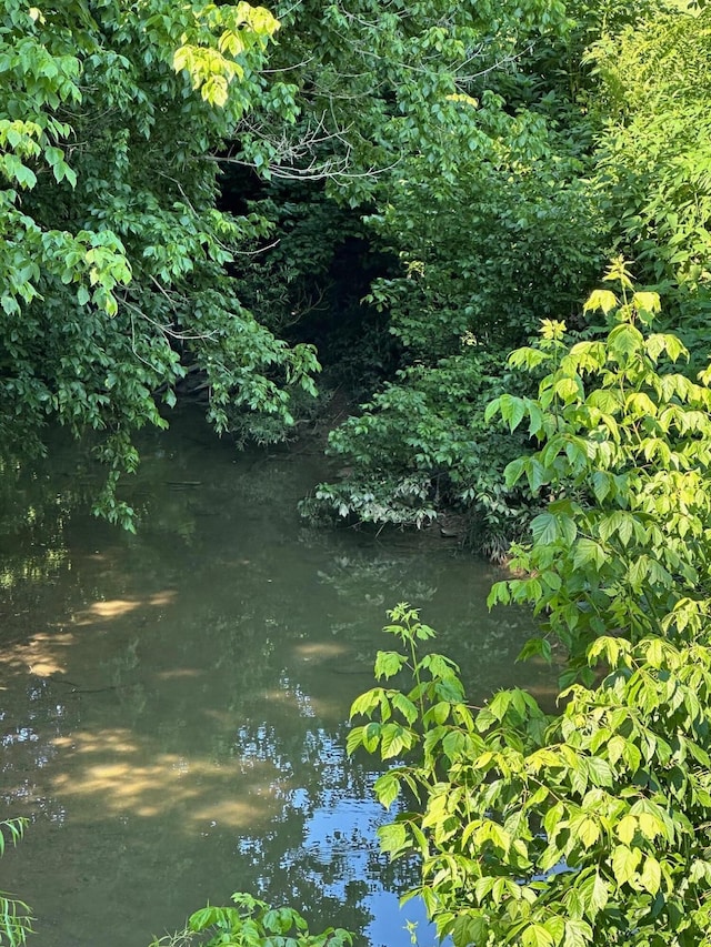 view of local wilderness featuring a water view