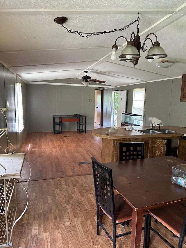 dining area with sink, hardwood / wood-style floors, a textured ceiling, and ceiling fan