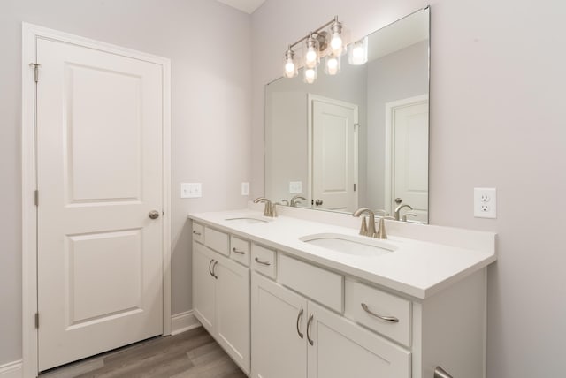 bathroom with vanity and wood-type flooring