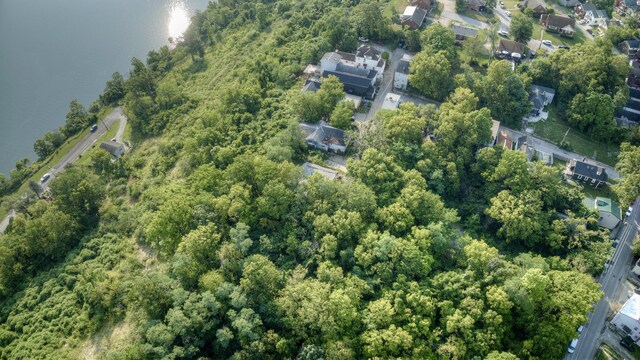 1318 Hill St, Covington, KY 41016