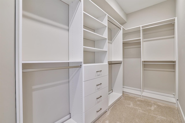 walk in closet featuring light carpet