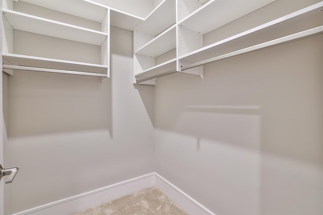 spacious closet with carpet flooring