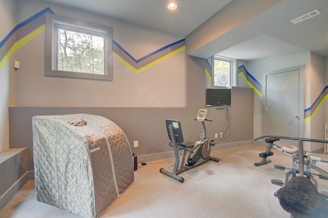 workout room featuring light colored carpet and a healthy amount of sunlight