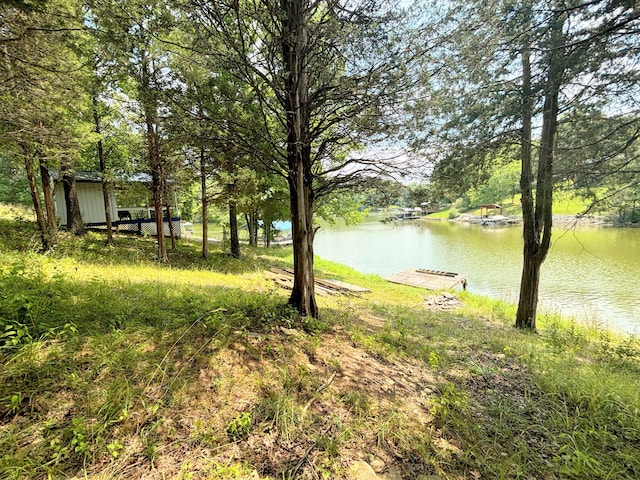 view of yard featuring a water view and a dock