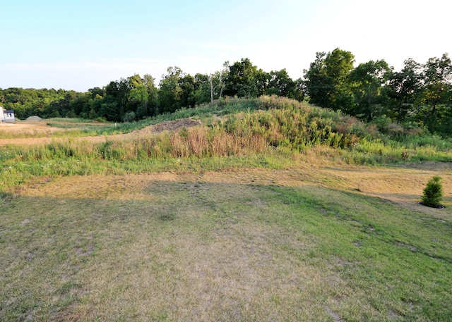909 Riesling Ct, Walton, KY 41094 - view of yard
