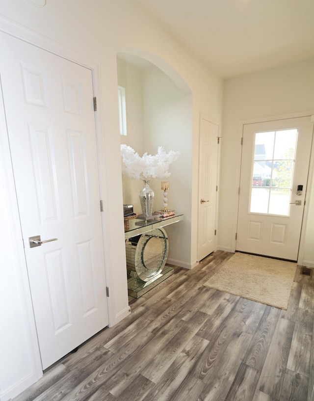 909 Riesling Ct, Walton, KY 41094 - entryway featuring wood finished floors and arched walkways