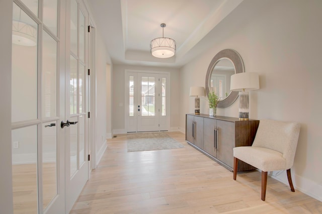 foyer featuring a tray ceiling and light hardwood / wood-style flooring