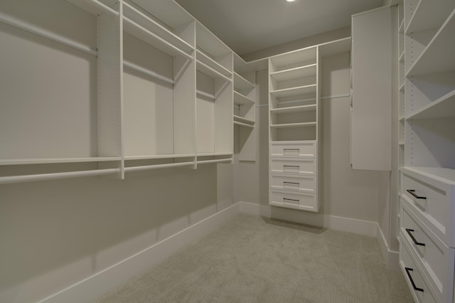 828 Fairbanks Ln, Southgate, KY 41071 - walk in closet featuring light carpet