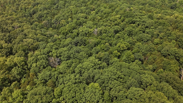 0 Old Teresita Rd, Owenton, KY 40359 - photo 6