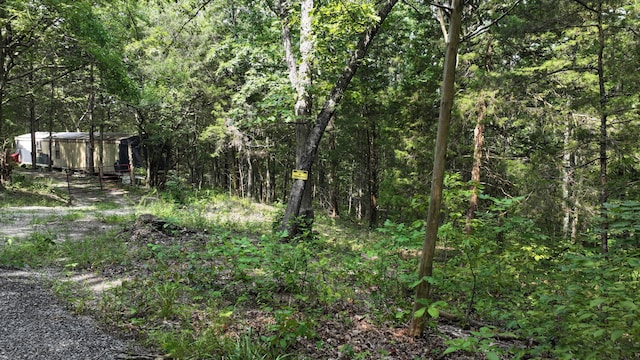 0 Old Teresita Rd, Owenton, KY 40359 - photo 7