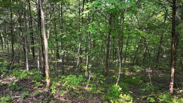 0 Old Teresita Rd, Owenton, KY 40359 - photo 8