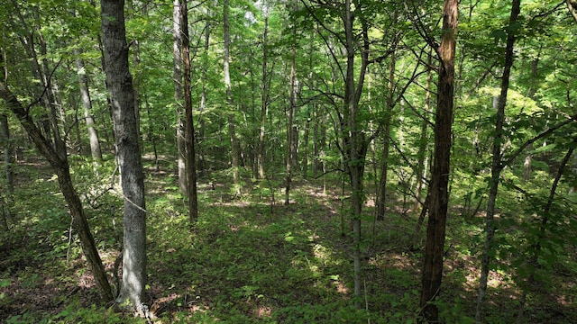 0 Old Teresita Rd, Owenton, KY 40359 - photo 9