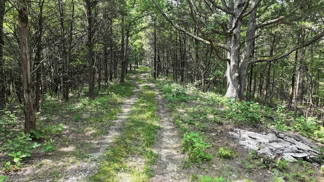 0 Old Teresita Rd, Owenton, KY 40359 - photo 3