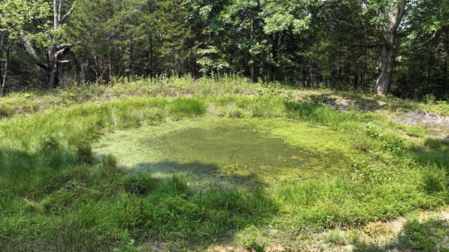 0 Old Teresita Rd, Owenton, KY 40359 - photo 10