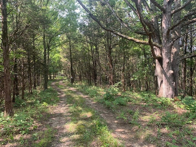 0 Old Teresita Rd, Owenton, KY 40359 - photo 4