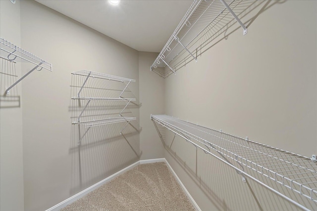 spacious closet with carpet