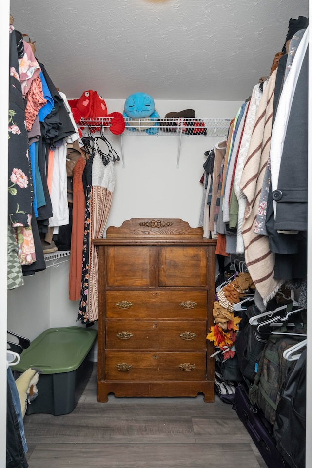 spacious closet featuring hardwood / wood-style flooring