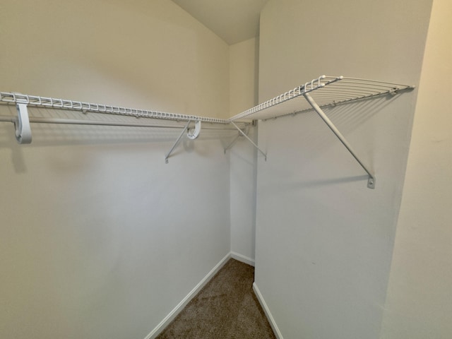 walk in closet with dark carpet