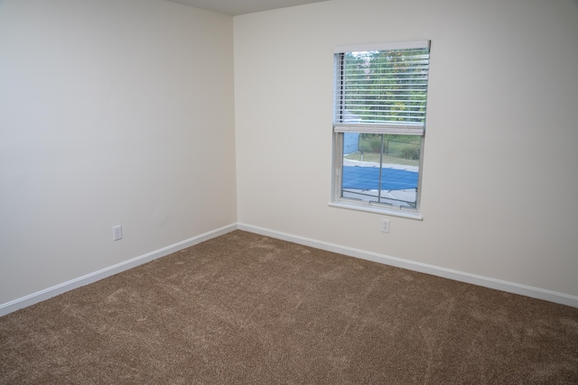 spare room with carpet