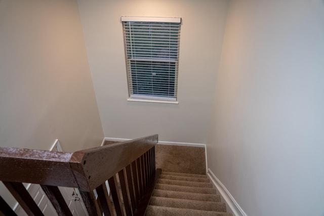 staircase with carpet flooring