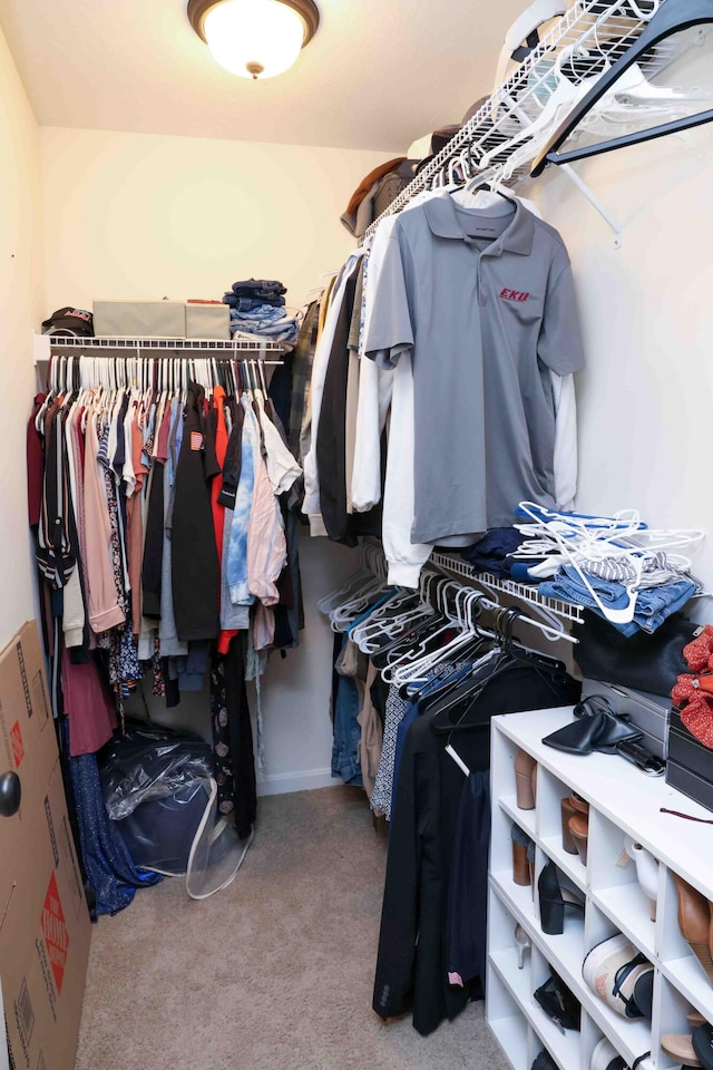 walk in closet featuring carpet flooring