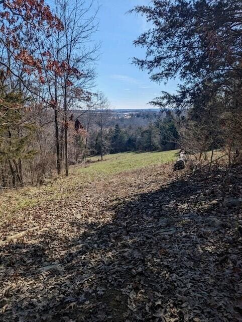 0 Fishing Creek Rd, Falmouth KY, 41040 land for sale