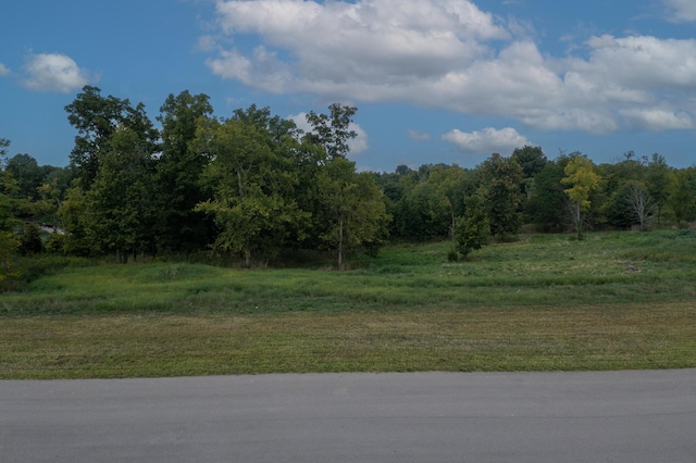 Listing photo 3 for 2938 Parker Ln, Union KY 41091