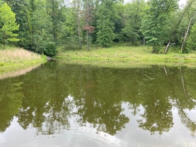 2197 Brooksville Chatham Rd, Brooksville KY, 41004 land for sale