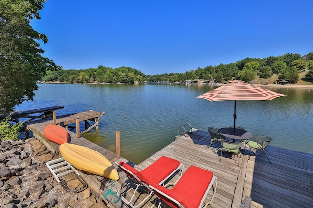 dock area with a water view