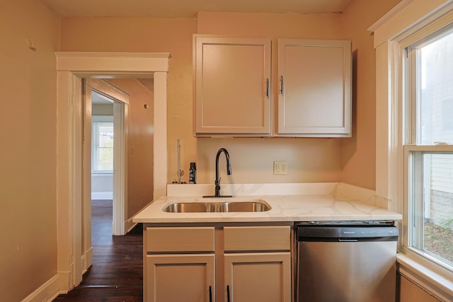 kitchen featuring sink, dishwasher, a healthy amount of sunlight, and dark hardwood / wood-style flooring