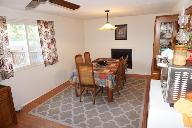 dining space with ceiling fan and light hardwood / wood-style flooring