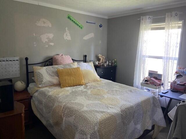 bedroom featuring crown molding and multiple windows