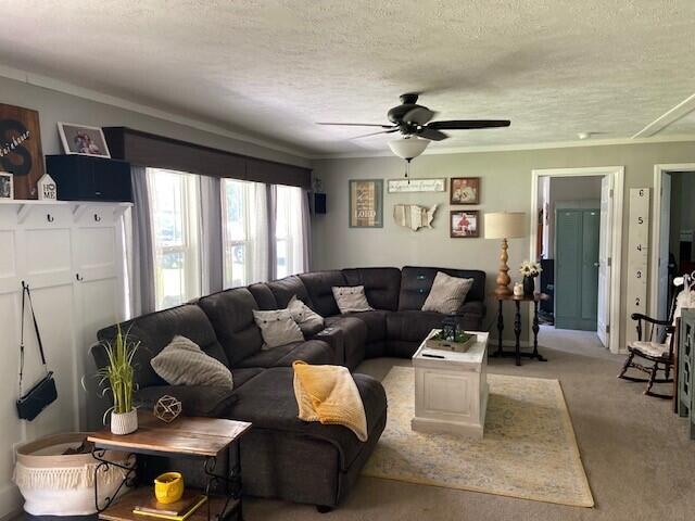 carpeted living room featuring ceiling fan, a textured ceiling, and crown molding