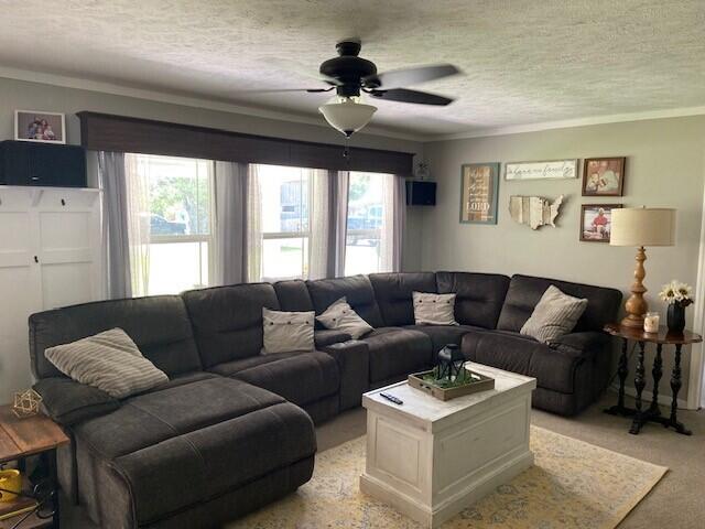 living room with ceiling fan, a healthy amount of sunlight, crown molding, and a textured ceiling